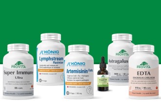 Protocol Toxoplasmoza