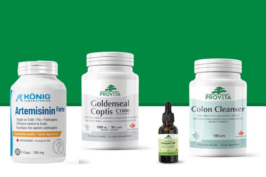 Protocol Deparazitare